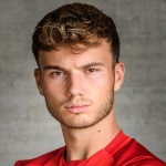 Dominik Schwizer
