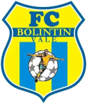 Bolintin Vale