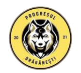 Progresul Draganesti