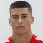 Niko Fridl