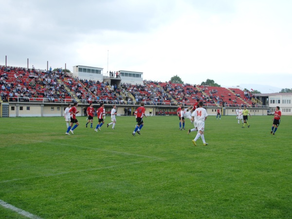 Stadion Goce Delcev
